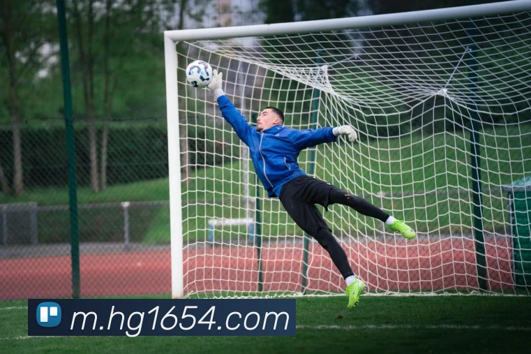 皇冠体育网站入口APP 高清赛事图